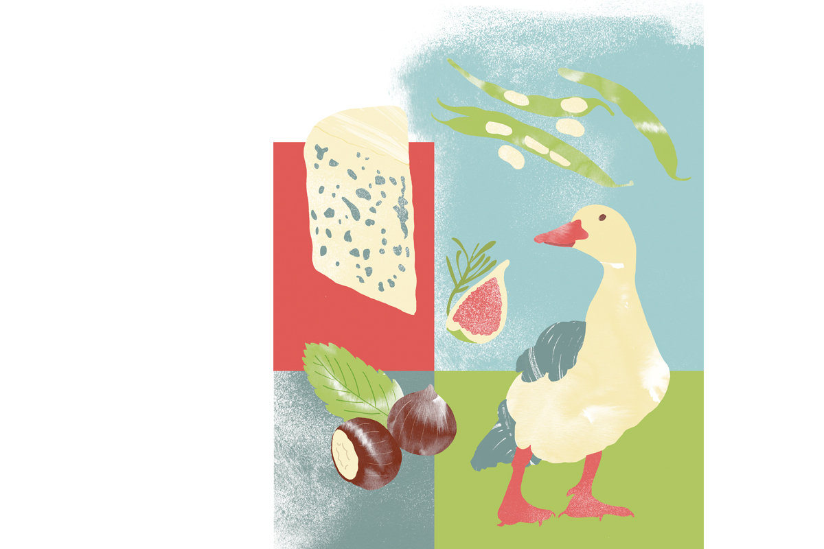 culinaire illustratie